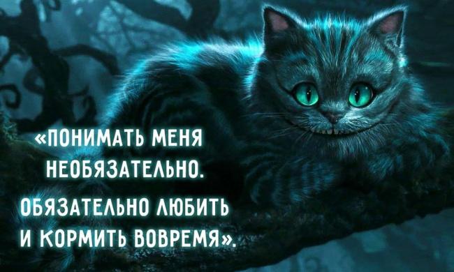 Чеширский кот