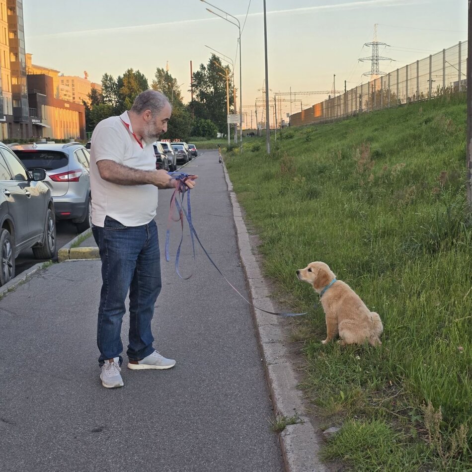 Переговоры зачем